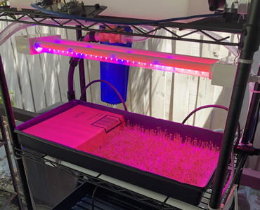 Vertical Nursery Grower Prototype